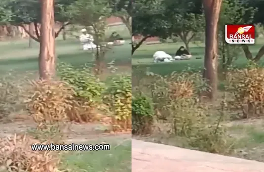 Taj Mahal:  ताजमहल में फिर नमाज अदा करने का मामला आया सामने, हिंदू महासभा ने की कार्रवाई की मांग, देखें वीडियो