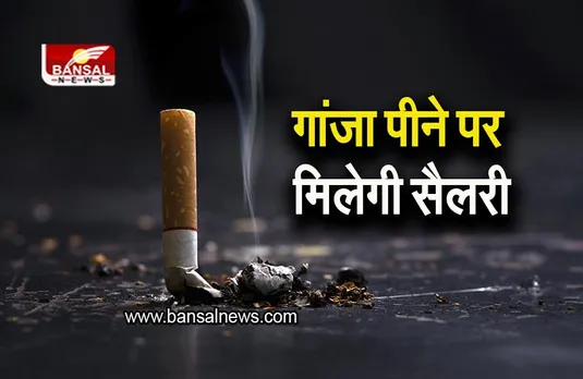 Unique Employment: गांजा पीने पर मिल रही है मोटी सैलरी, ये कंपनी दे रही ऑफर