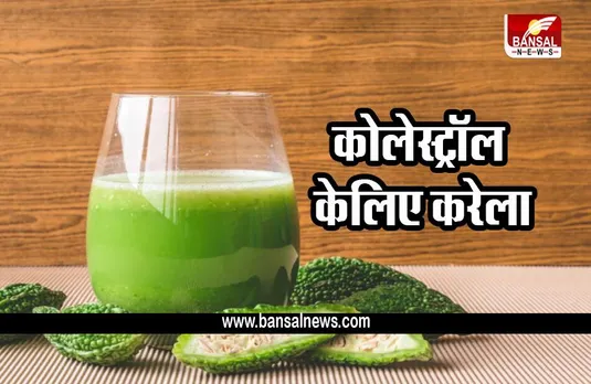 BITTER GOURD FOR CHOLESTEROL: कोलेस्ट्रॉल कंट्रोल केलिए करेले की  स्पेशल ड्रिंक, जानें पूरी रेसिपी