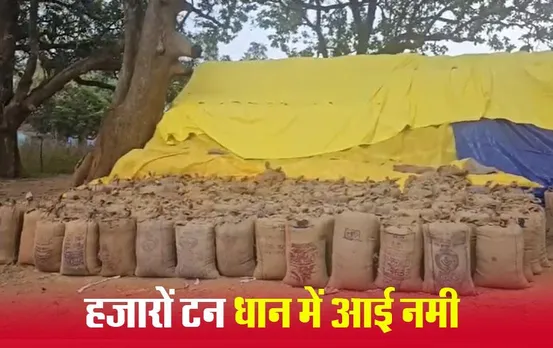 Sarguja News: धान केंद्रों में खुले में रखी है हजारों टन धान, नमी से सड़ने की संभावना