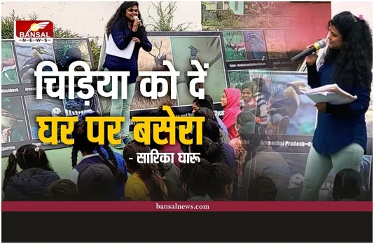 विश्व गौरेया दिवस : चहचहाहट को वापस लाने बनायें चिड़ियावास - सारिका घारू