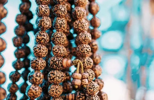 Sawan 2023: सबसे अच्छा रुद्राक्ष कौन सा होता है, रुद्राक्ष के बारे में जानें सब कुछ