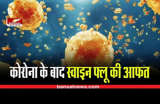 CG Swine Flu News: पैस पसार रहा है स्वाइन फ्लू ,राज्य में हर दिन बढ़ रहे हैं केस, जानिए पूरा मामला