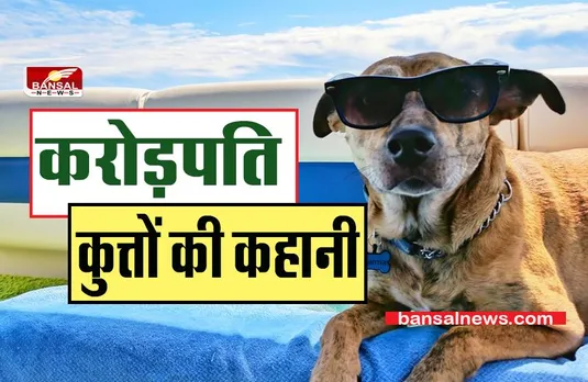 Ajab Gajab: जानिए कैसे इस जगह के कुत्ते करोड़पति हैं ? ये अपने पैसे किसी वफ़ादार को देते हैं ?