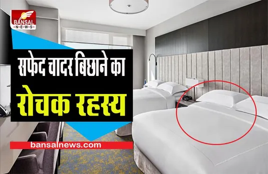 IMPORTANT HOTEL ROOM TIPS: होटल रूम में बेड पर सफेद बेडशीट ही क्यों बिछाई जाती है ? जान लें जरूरी 5 वजह कहीं हो न जाए बेइज्जती