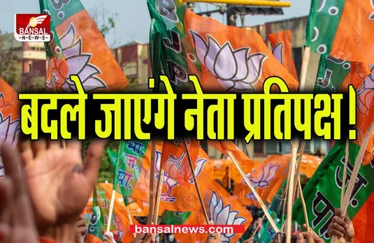 CG POLITICS NEWS: प्रदेश बीजेपी में बड़ा उथलपुथल,बदले जाएंगे नेता प्रतिपक्ष!