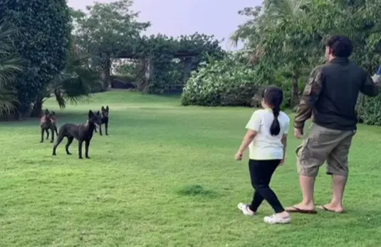 Dhoni: अपने पालतू कुत्तों के साथ क्वालिटी टाइम बिताते दिखे धोनी, पत्नी साक्षी ने शेयर किया वीडियो