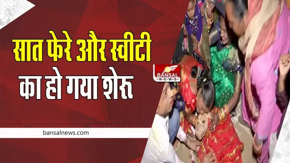 Gurugram Dog Wedding Viral: एक शादी ऐसी भी ! जब स्वीटी संग हो गया शेरू का ब्याह, लोगों ने कहा- वाह-वाह