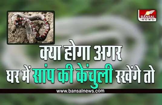 Snake Skin Totke : क्या आप भी घर पर रखते हैं सांप की केंचुली, तो पढ़ लें ये खबर