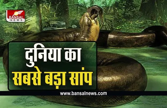 'Monster Snake' : सांपों की दुनिया का राजा ये सांप, एनाकोंडा भी इसके आगे है फेल