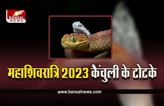 Mahashivratri 2023 Upay : महाशिवरात्रि पर जरूर करें सांप की कैंचुली से जुड़ा ये उपाय, नहीं रहेगी धन दौलत की कमी