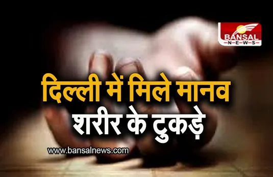 Delhi: सराय काले खां RRTS निर्माण स्थल के पास मिले मानव शरीर के टुकड़े, पुलिस ने शुरू की जांच