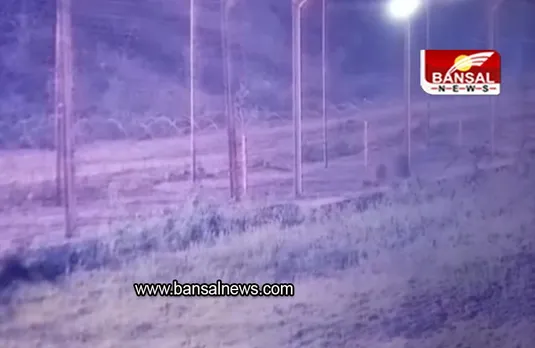 Viral: पाकिस्तान से भारतीय सीमा में घूसता दिखा तेंदुआ, BSF ने जारी किया अलर्ट