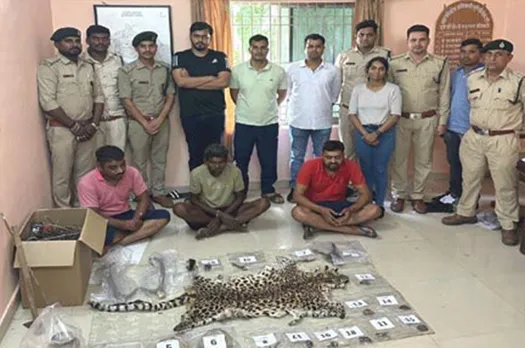 chhattisgarh news: बाघ के तस्कर गिरोह को पकड़ने में वन विभाग को मिली बड़ी सफलता, जानिए पूरा मामला