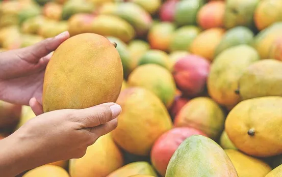 Top Mango Variety: आम के शौकीनों ने यदि नहीं खाए हैं ये 15 आम, तो कुछ छूट रहा है उनसे