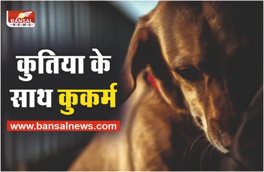 40 साल के युवक ने कुतिया को बनाया अपनी हवस का शिकार