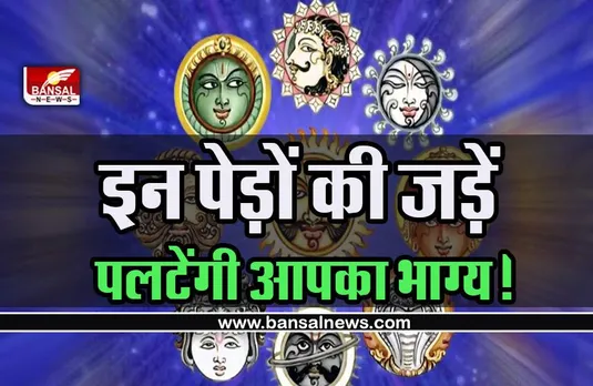 Astrology Form Grah Dosh :ग्रह दोषों से हैं पीड़ित, रत्न की जगह धारण करें इन पेड़ों की जड़ें