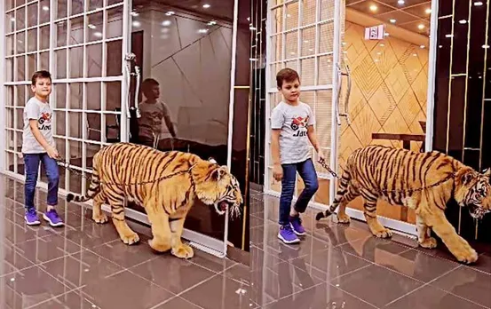 Viral Video: बच्चे ने कराई टाइगर को सैर, वीडियो देखकर थम जाएंगी आपकी भी साँसे