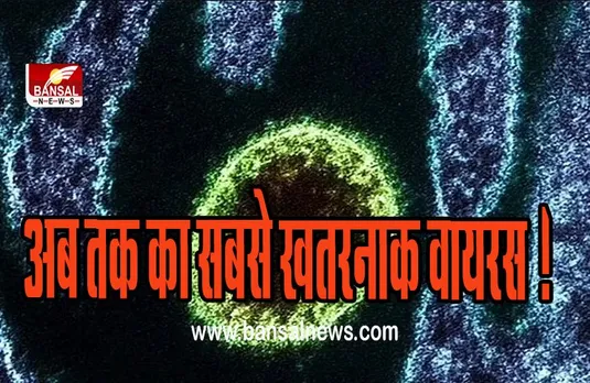 Langya Henipavirus : खतरनाक तरीकें से फैल रहा है एक और खतरनाक वायरस