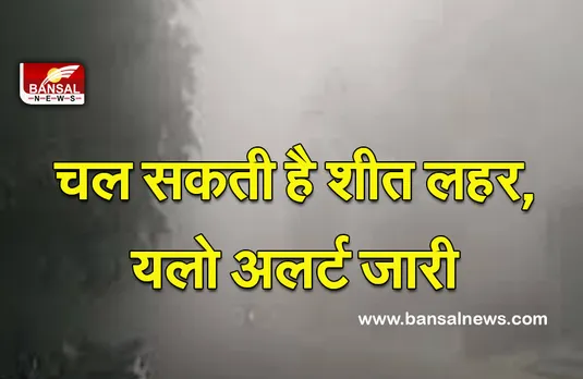 MP Weather : कर लें तैयारी, कोहरा और शीत लहर को लेकर मौसम विभाग ने दी चेतावनी