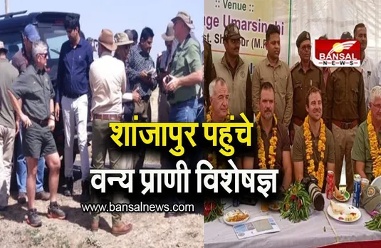 MP SHAJAPUR NEWS: साउथ अफ्रीका से आये वन्य प्राणी विशेषज्ञ, ट्रांस लोकेशन ऑफ ब्लैकबक कार्यशाला का हुआ आयोजन