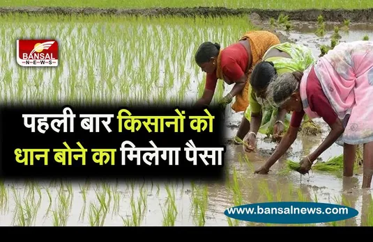 big farmer news: धान की बुवाई के लिए मिलेंगे 1500 रु प्रति एकड़,सीएम का बड़ा ऐलान