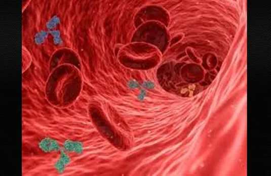 Blood Colour In Ocean: क्या समुद्र में खून का रंग दिखाई देता है हरा, जानिए ये रोचक फैक्ट यहां