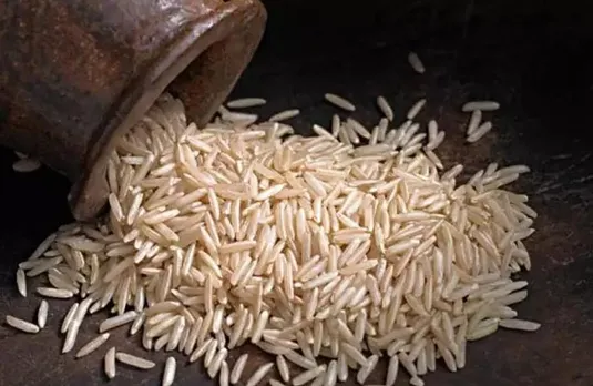 Parboiled Rice Export Duty: सरकार ने उसना चावल के निर्यात पर लगाया शुल्क, जानिए अधिसूचना में क्या कहा