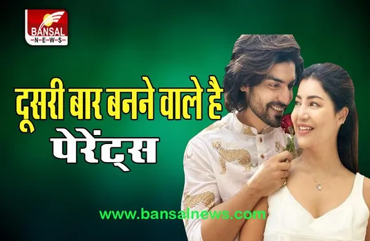 Debina Bonnerjee Pregnant: दूसरी बार पेरेंट्स बनने जा रहे गुरमीत-देबिना, 4 महीने पहले बेटी का हुआ जन्म