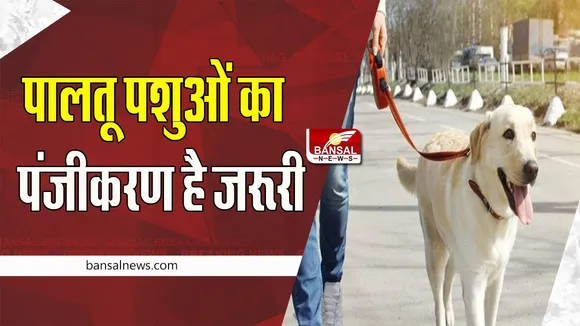 Pet Registration Mandatory: अब पालतू पशुओं का पंजीकरण कराना होगा अनिवार्य ! जारी की नई गाइडलाइन