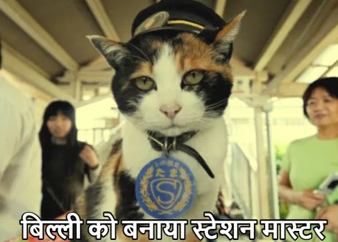 Amazing Railway Station: बिल्ली बनी स्टेशन मास्टर! ट्रेनिंग के बाद मिली बड़ी जिम्मेदारी, कहां पर है ये स्टेशन जानें