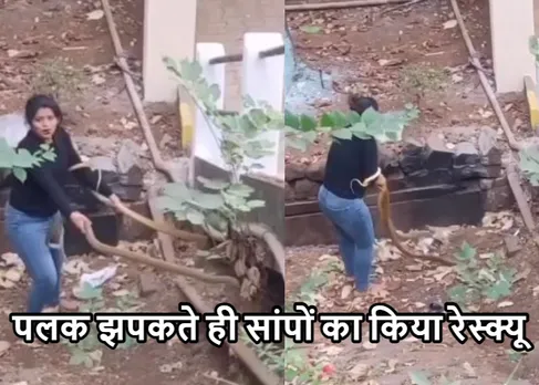 Viral Video 2023: बिना डरे महिला ने किया दो सांपो का रेस्क्यू, धड़कनें बढ़ा देगा ये वायरल वीडियो