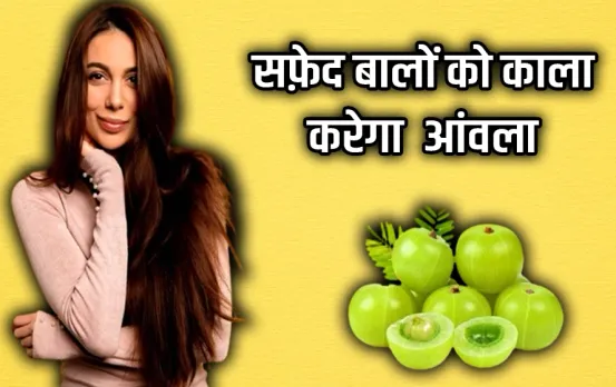 Aamla Benefits For Hair: कम उम्र में बाल हो रहें हैं सफ़ेद, तो यह फल करेगा आपकी मदद, एक बार सेवन करने से होंगे घने बाल