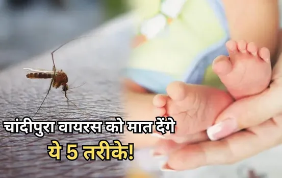 Chandipura Virus: गुजरात में चांदीपुरा वायरस ने ली 27 जान, इन 5 तरीकों से करें बच्चों का बचाव; हेल्पलाइन नंबर जारी