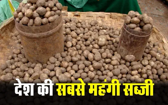 Chattisgarh Boda Vegetable: छत्तीसगढ़ में मिलती है देश की सबसे महंगी सब्जी, चिकन-मटन के स्वाद को भी करती है फेल