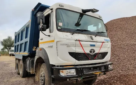 Chhattisgarh News: छत्तीसगढ़ में डंपर ट्रक ने मारी 18 गायों को टक्कर, 15 की मौत 3 घायल; ग्रामीणों ने किया चक्काजाम