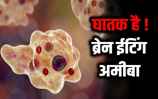 Kerala Boy Brain Eating Amoeba: तालाब में नहाना 14 साल के बच्चे की जान पर पड़ा भारी, ब्रेन ईटिंग अमीबा से हुई मौत