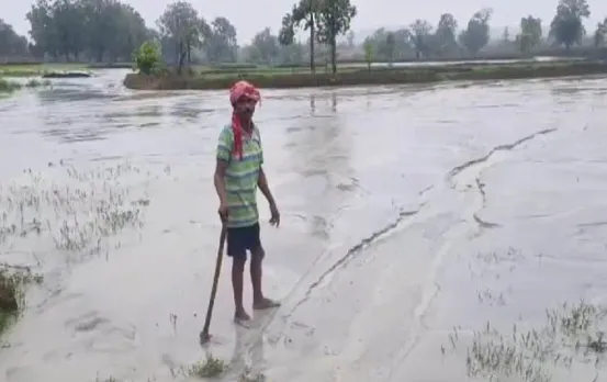 Korba CG News: जानलेवा राखड़ की खेतों में जमी डेढ़ फीट परत, जमीन पर बंजर होने का खतरा; खेती नहीं कर पाएंगे किसान