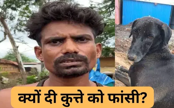 CG News: छत्तीसगढ़ में एक शख्स ने कुत्ते को फांसी पर लटकाया, जानें क्या रही ऐसा करने की वजह