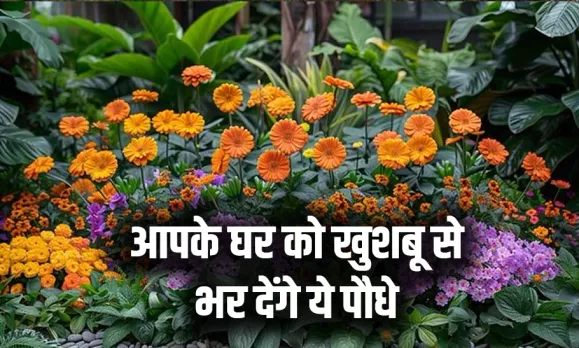 घर पर आज ही लगाएं ये 5 सुगंधित पौधे: बगीचे की तरह महकेगा आपके घर का गार्डन, जानें कौनसे पौधें है बेस्ट