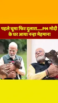 DELHI: पीएम मोदी के घर आया नन्हा मेहमान, 'दीपज्योति' रखा नाम, गौमाता ने नव वत्सा को दिया जन्म