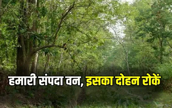 National Forest Martyrs Day 2024