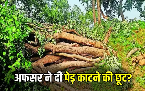 CG Deputy Ranger Suspend