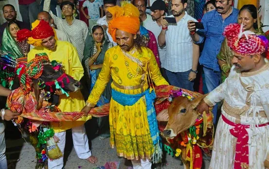 उज्जैन में प्रोफेसर ने करा दी गाय बैल की शादी: DJ बजाकर निकाली बारात, बोले अगली पिछली 10 पीढ़ियों को मिलेगा स्वर्ग