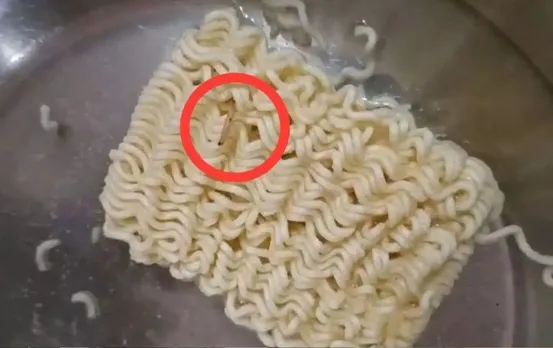 मैगी पर फिर विवाद: जबलपुर में Maggi के पैकेट में निकले जिंदा कीड़े, फूड सेफ्टी ऑफिसर लेंगे सैंपल, Nestle ने दिया ये जवाब