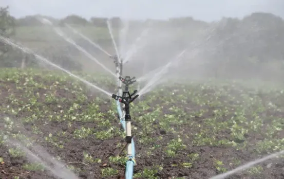 PM Modi Cabinet Decisions