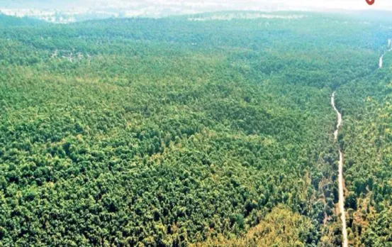 Sagar Banda-Shahgarh Wildlife Sanctuary