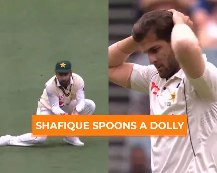 Shafique spoonss a dolly