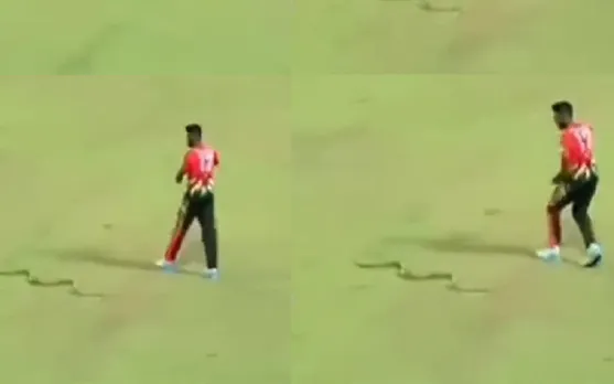 Isuru Udana gets spooked by a snake during an LPL match