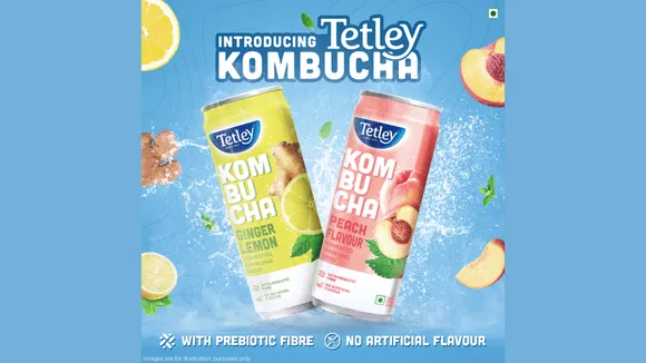 tetley kombucha